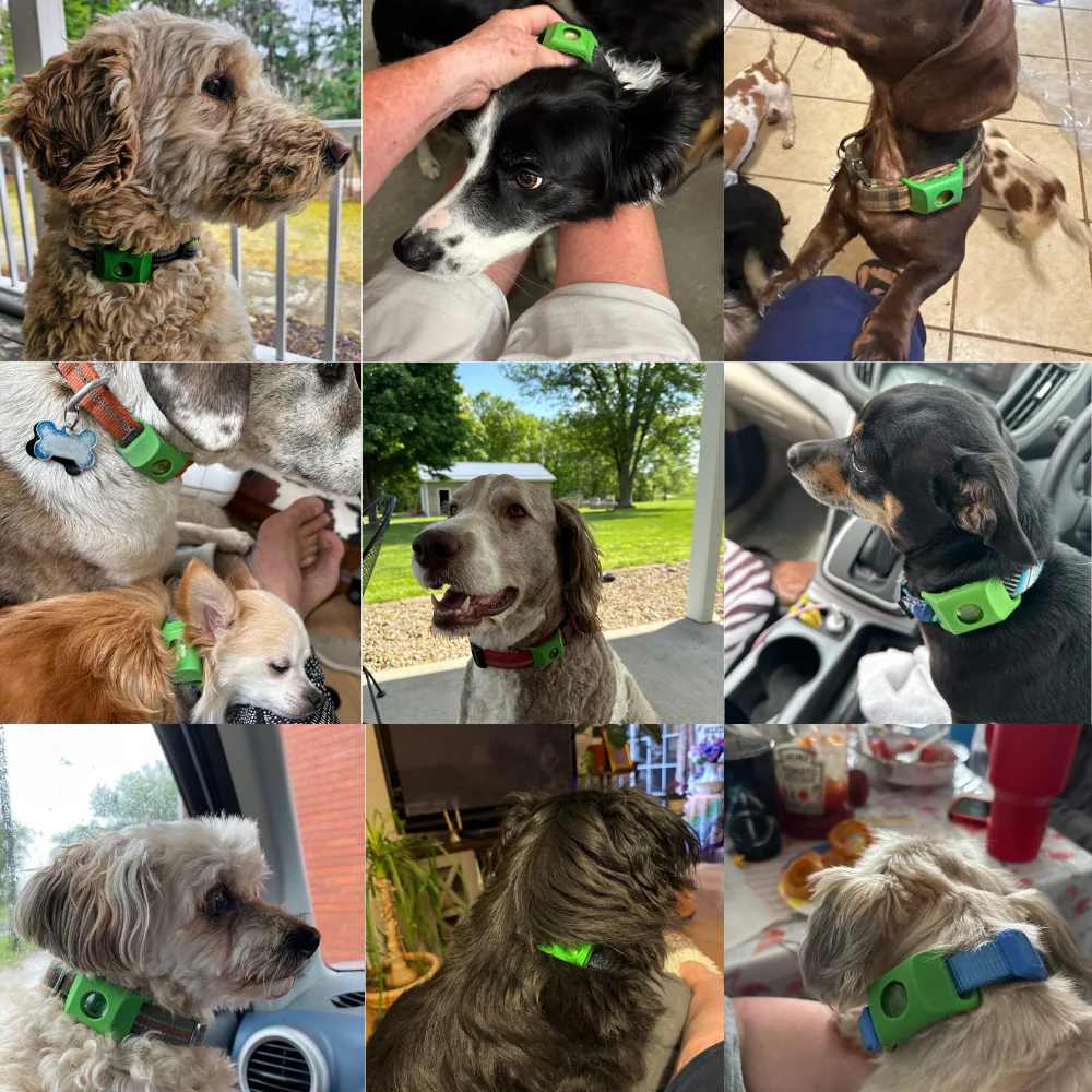 Morbix™ - 12 maanden volledig natuurlijke vlooien- en tekentags voor honden