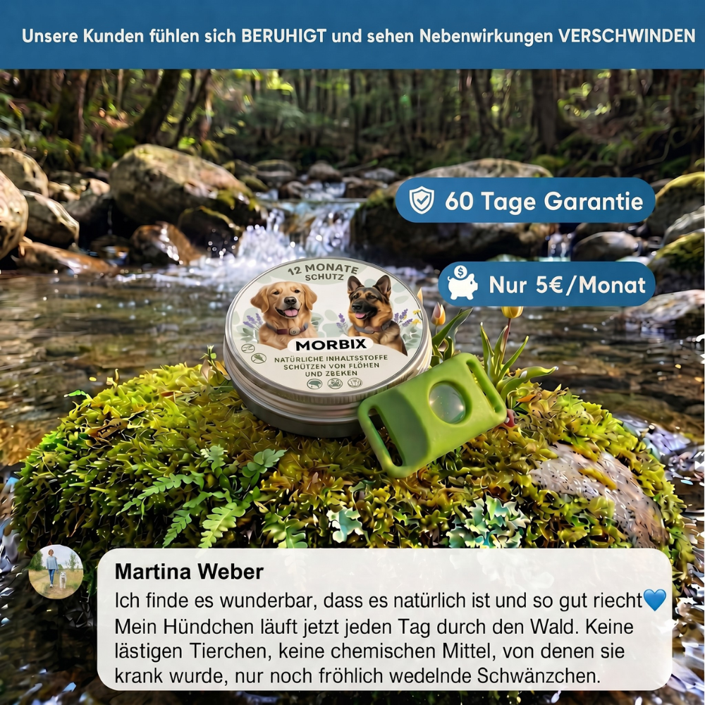 Morbix – Natürliche Floh- & Zeckenschutzmarke · 12 Monate
