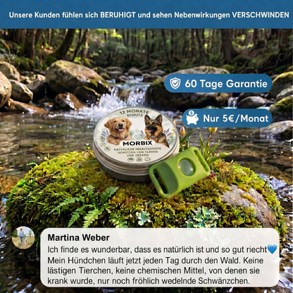 Morbix – Natürliche Floh- & Zeckenschutzmarke · 12 Monate