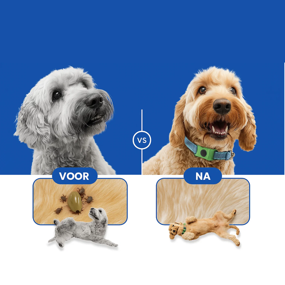 Morbix™ - 12 maanden volledig natuurlijke vlooien- en tekentags voor honden