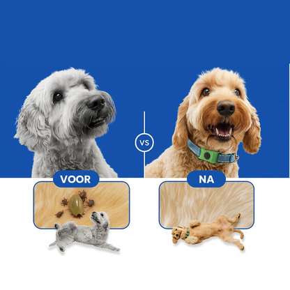 Morbix™ - 12 maanden volledig natuurlijke vlooien- en tekentags voor honden