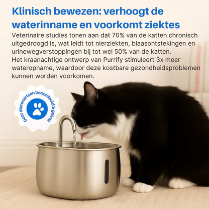 Bescherm Uw Kat Tegen Uitdroging en Nierziekte Met Morbix