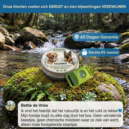 Morbix - Natuurlijke Vlooien- & Tekenpenning · 12 Maanden (Copia)