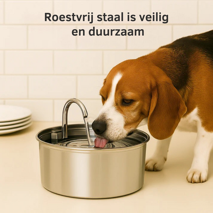 Geef je hond jaren extra met het drievoudig filtratiesysteem van Morbix