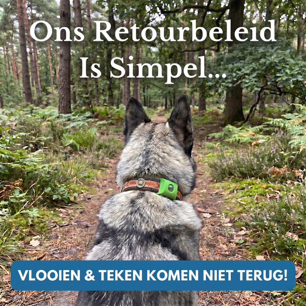 Morbix - Natuurlijke Vlooien- & Tekenpenning · 12 Maanden (Copia)
