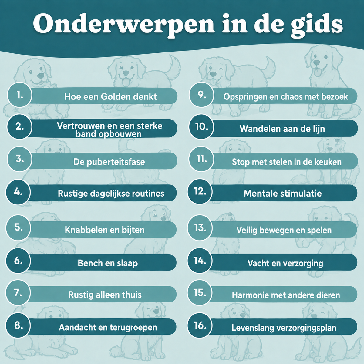 De Complete Digitale Gids voor jouw Golden Retriever – foto 3