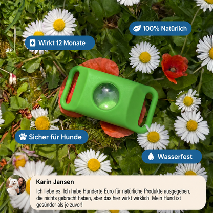 Morbix – Natürliche Floh- & Zeckenschutzmarke · 12 Monate