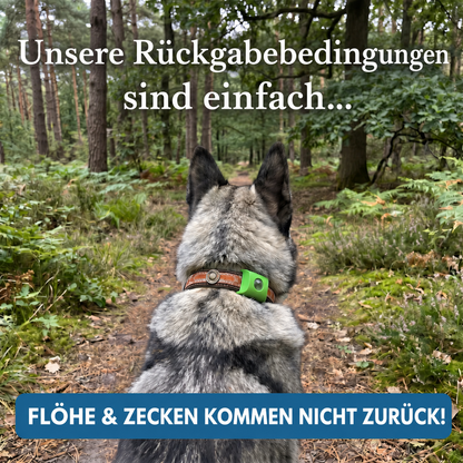 Morbix – Natürliche Floh- & Zeckenschutzmarke · 12 Monate