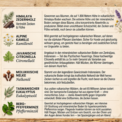 Morbix – Natürliche Floh- & Zeckenschutzmarke · 12 Monate