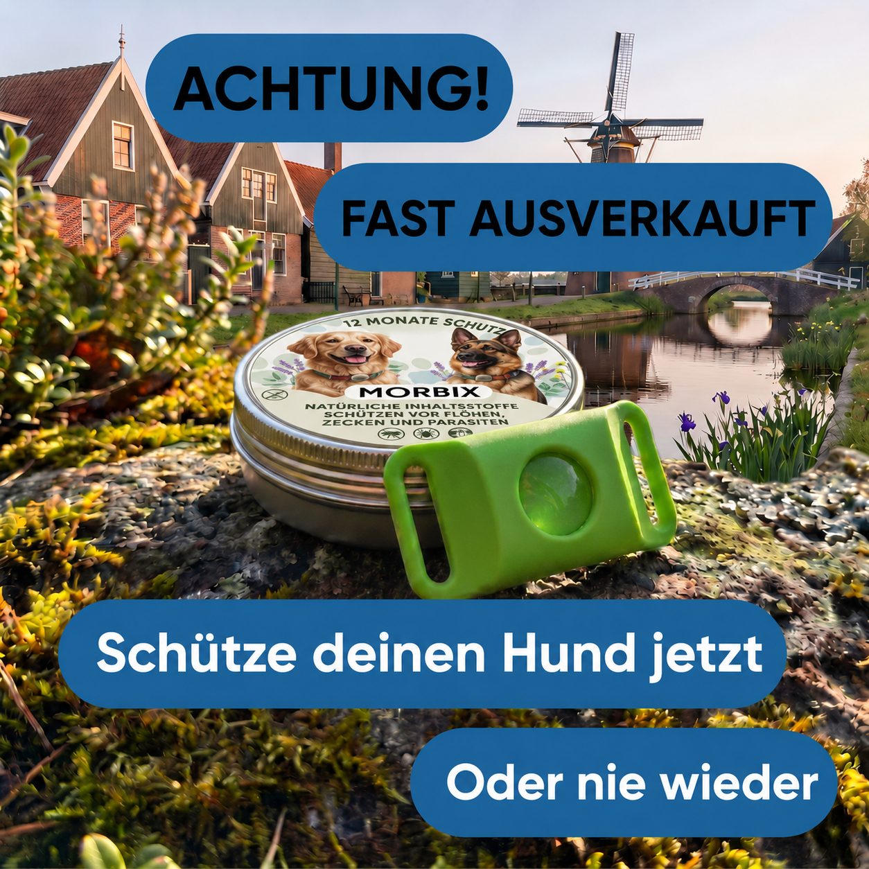 Morbix – Natürliche Floh- & Zeckenschutzmarke · 12 Monate