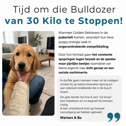 De Complete Digitale Gids voor jouw Golden Retriever – foto 5