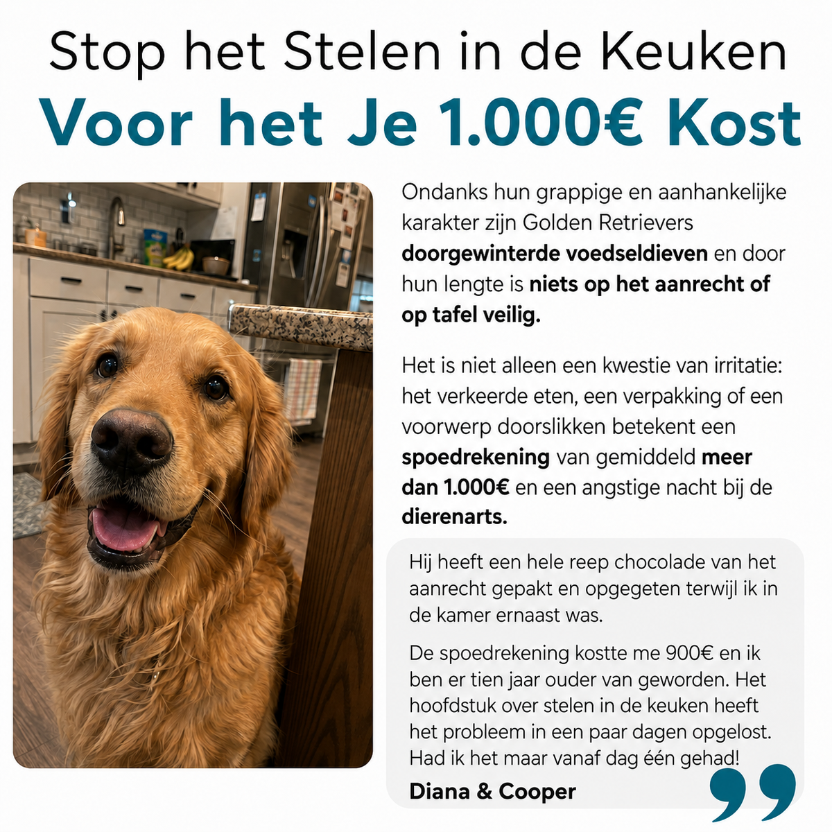 De Complete Digitale Gids voor jouw Golden Retriever – foto 7