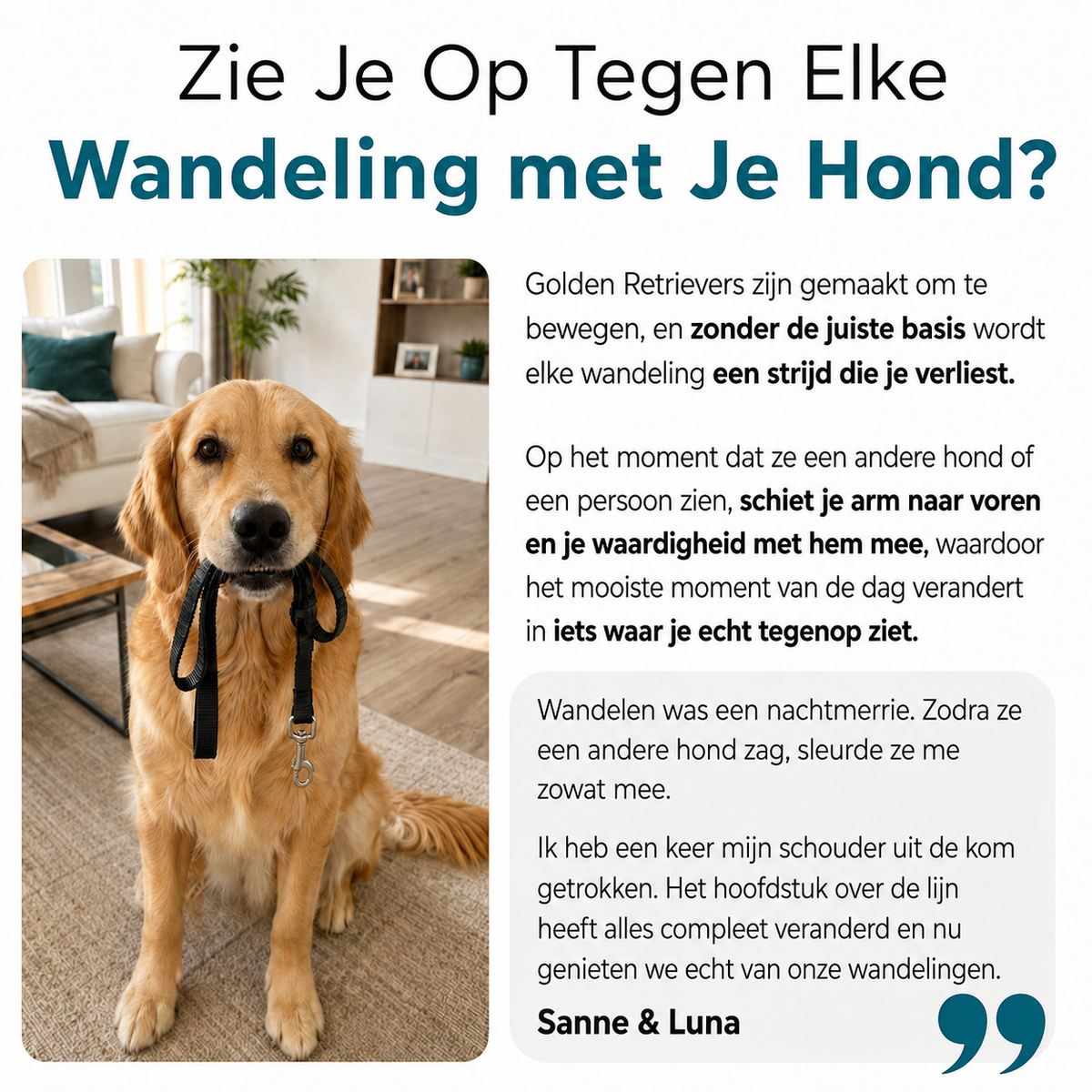 De Complete Digitale Gids voor jouw Golden Retriever – foto 8