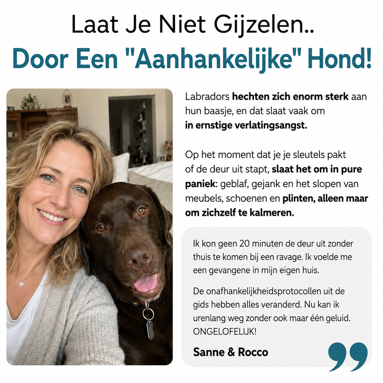 De Complete Digitale Gids voor jouw Labrador