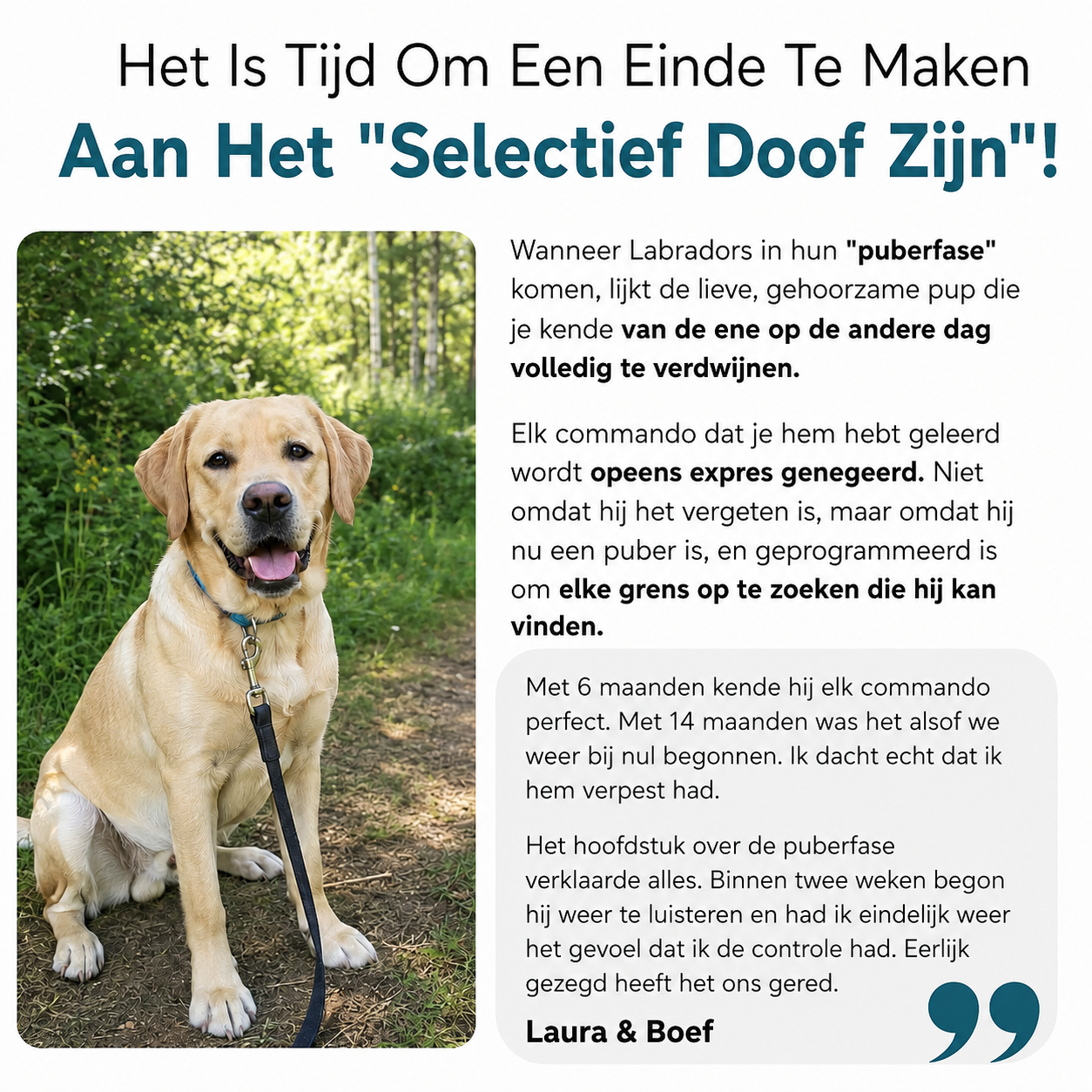 De Complete Digitale Gids voor jouw Labrador