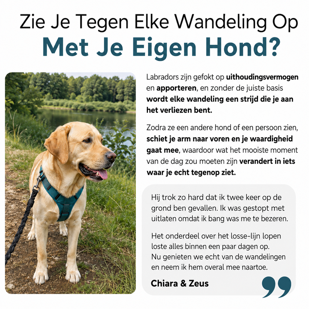 De Complete Digitale Gids voor jouw Labrador