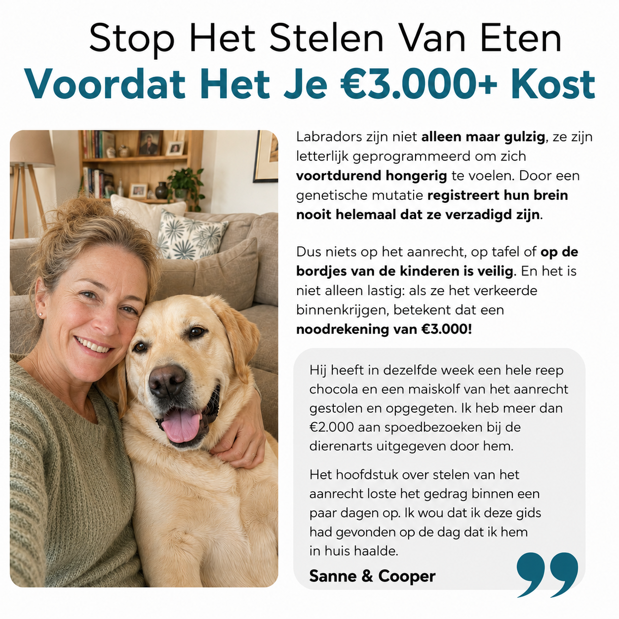 De Complete Digitale Gids voor jouw Labrador