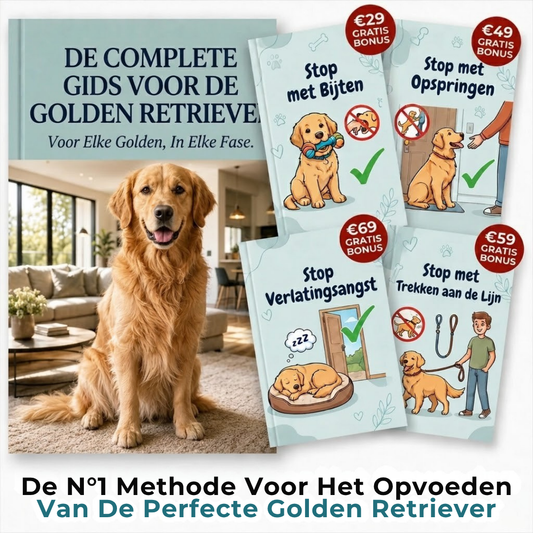 De Complete Digitale Gids voor jouw Golden Retriever