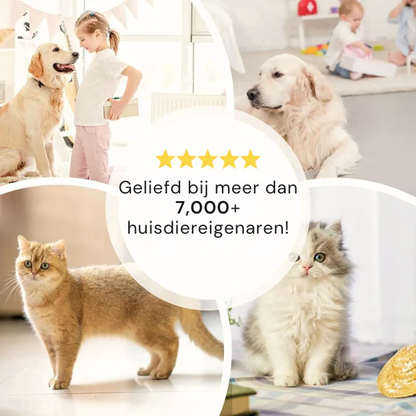 Morbix™ Pro Handschoen – Zeg Vaarwel Tegen Dierenhaar