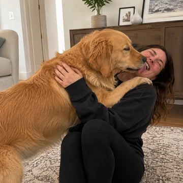 Beau, de Golden Retriever van Eva