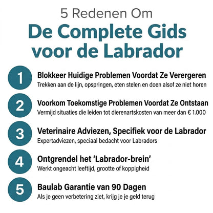 De Complete Gids voor jouw Labrador