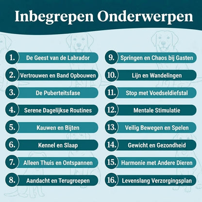 De Complete Gids voor jouw Labrador