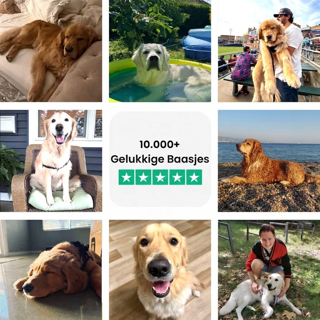 De Complete Digitale Gids voor jouw Golden Retriever – foto 9