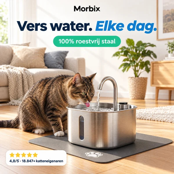 Morbix Drinkfontein van 100% roestvrij staal voor katten