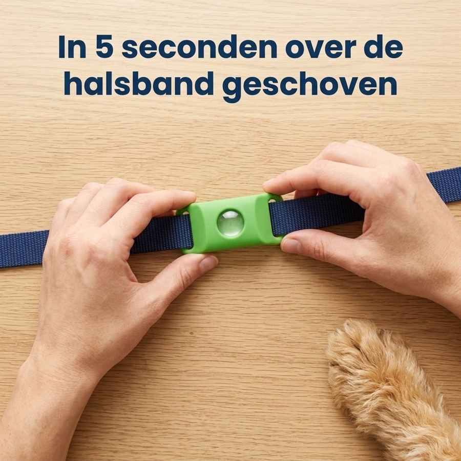 In 5 seconden over de halsband geschoven