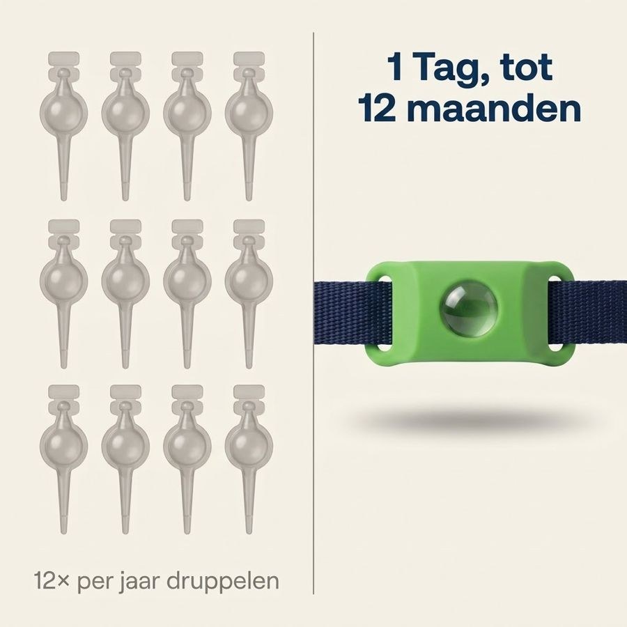 12 keer per jaar druppelen tegenover 1 Tag tot 12 maanden