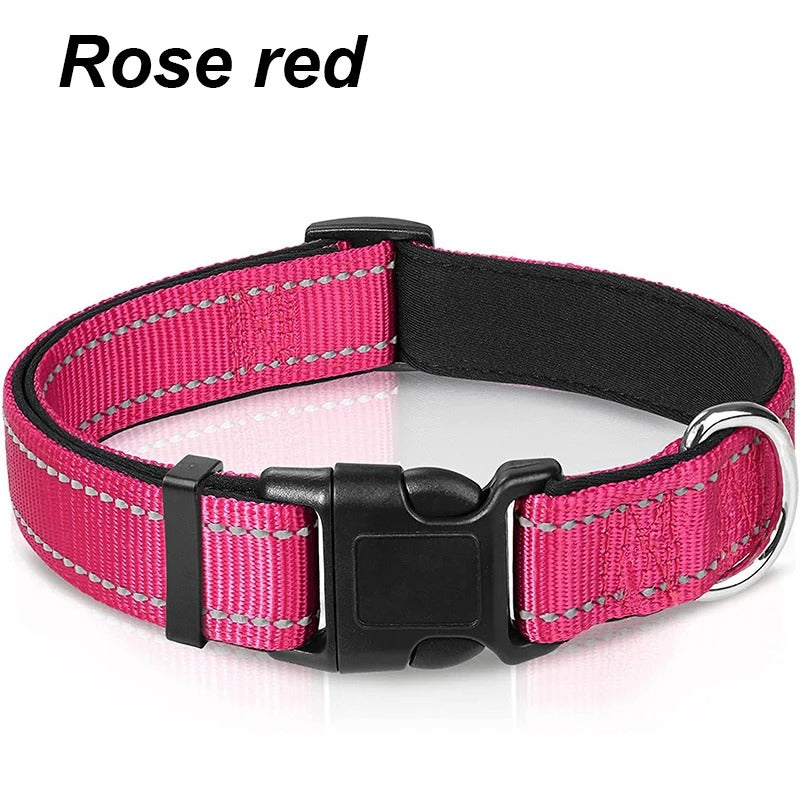Dog Collar