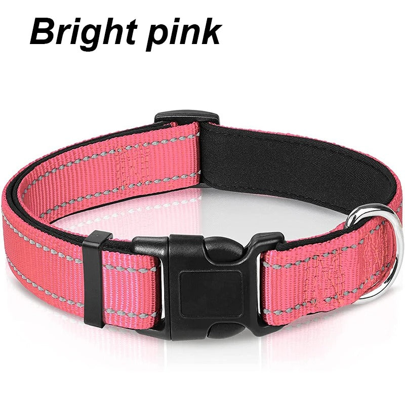 Dog Collar