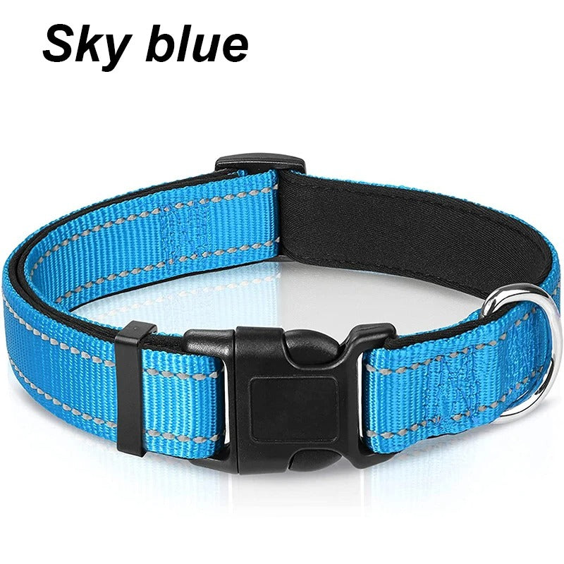 Dog Collar