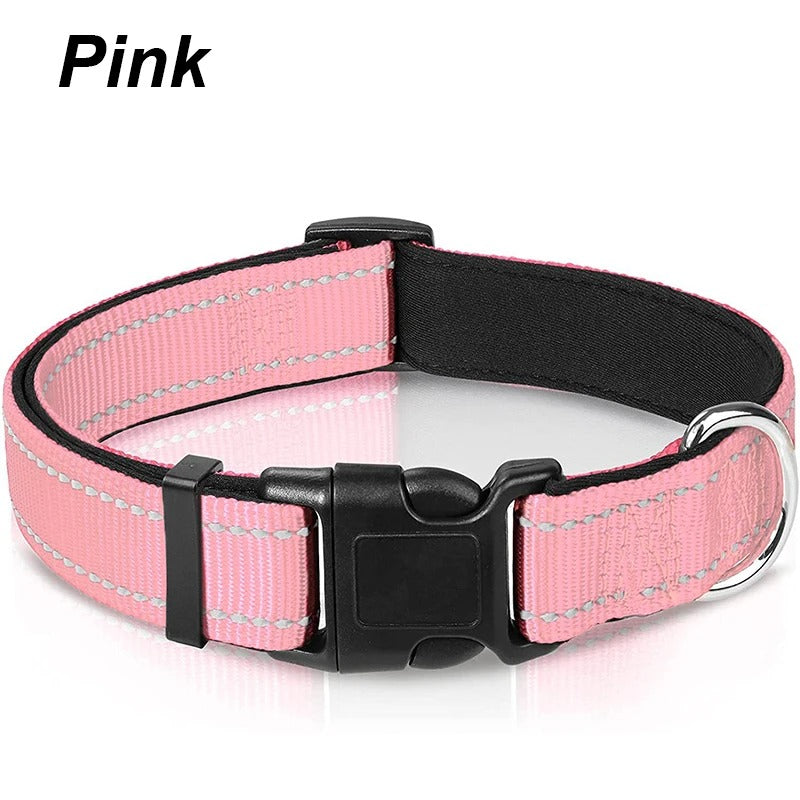 Dog Collar