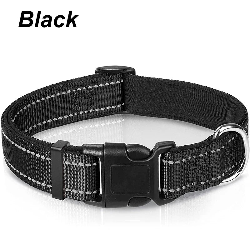 Dog Collar