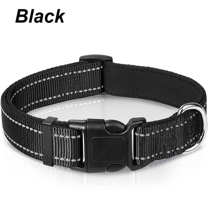 Dog Collar
