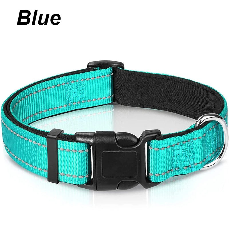 Dog Collar