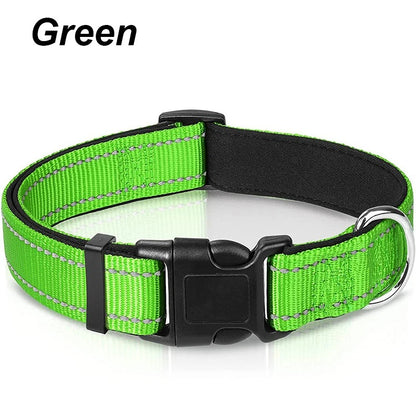 Dog Collar
