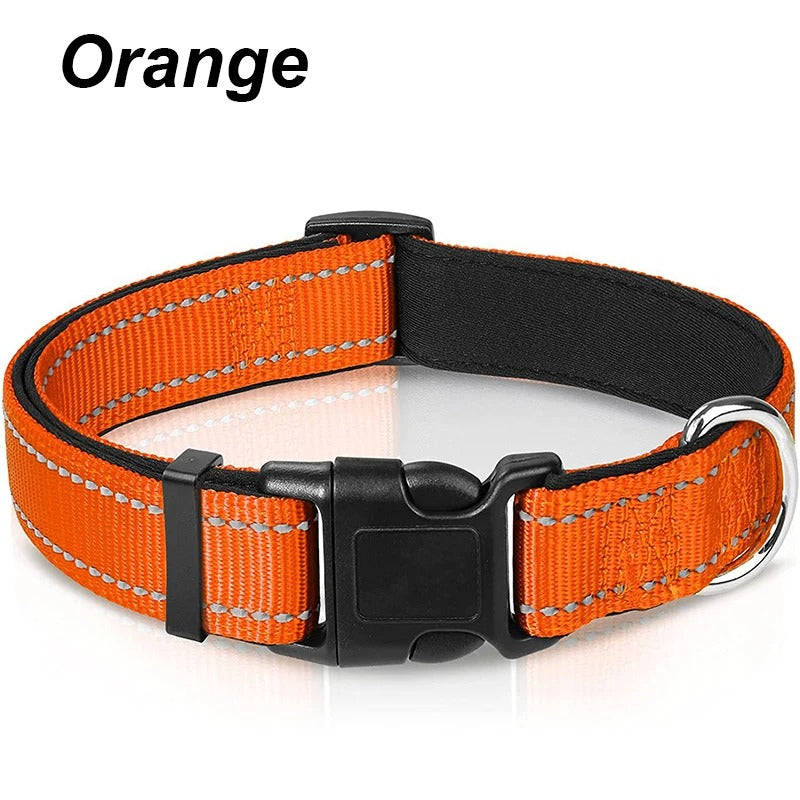 Dog Collar