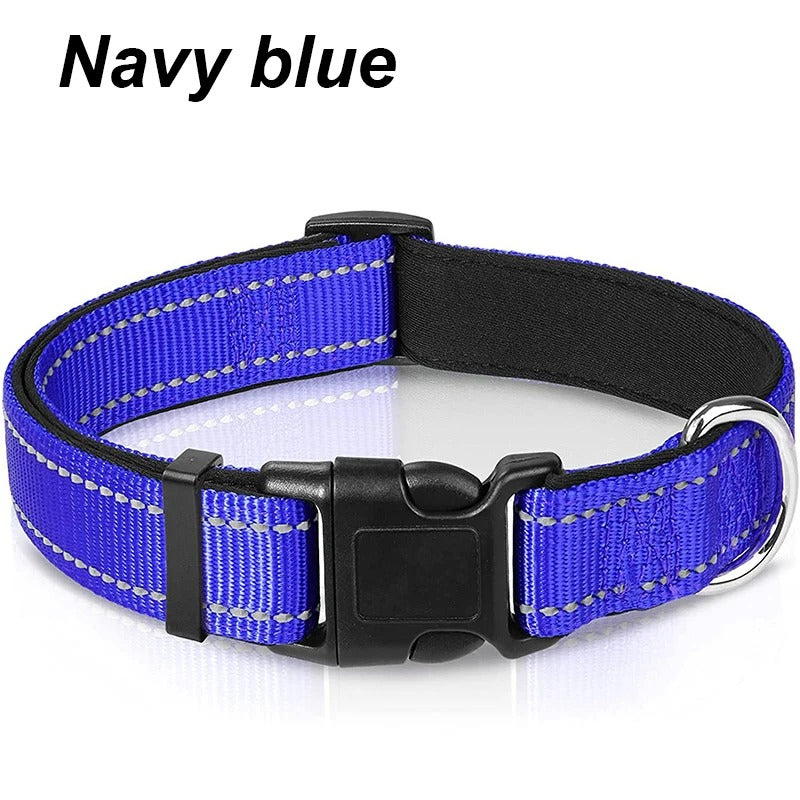 Dog Collar