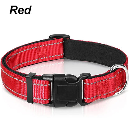 Dog Collar