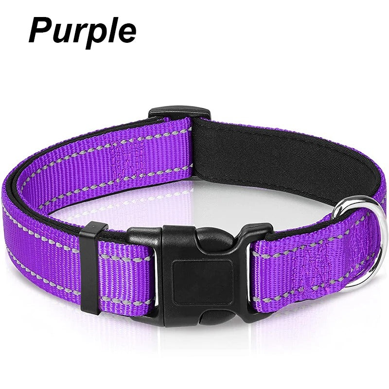 Dog Collar