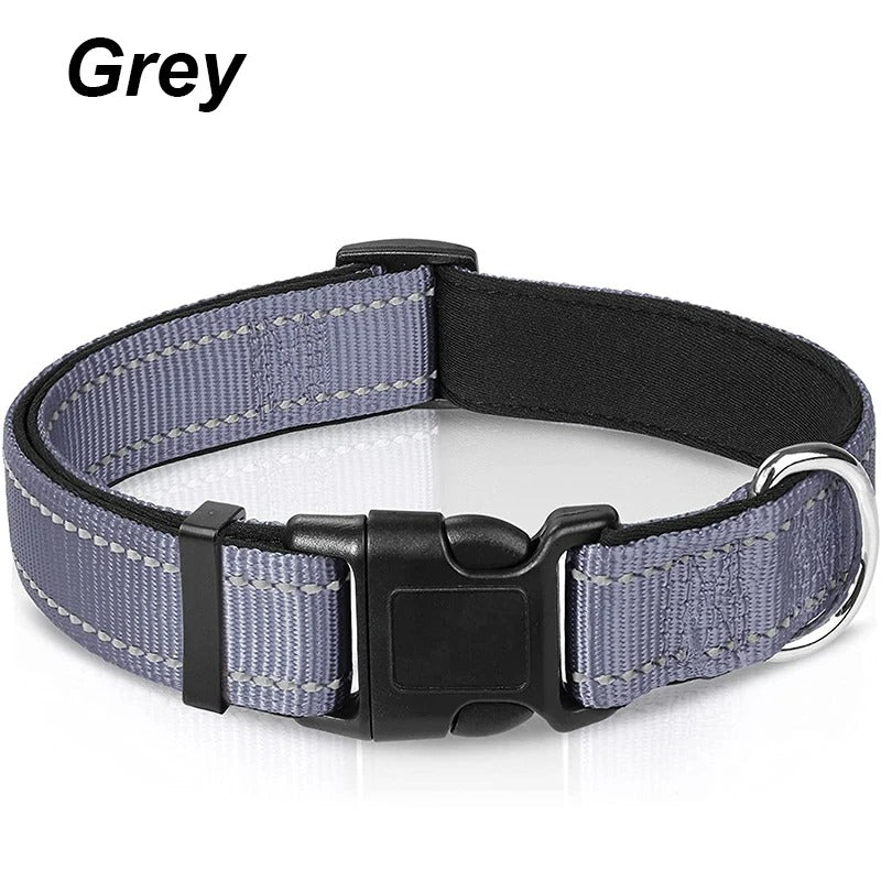 Dog Collar